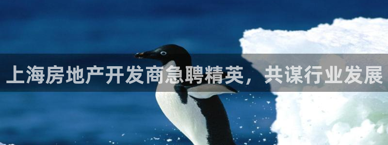 万向娱乐挂机