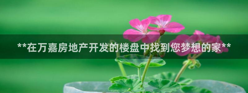 万向娱乐平台招商骗局