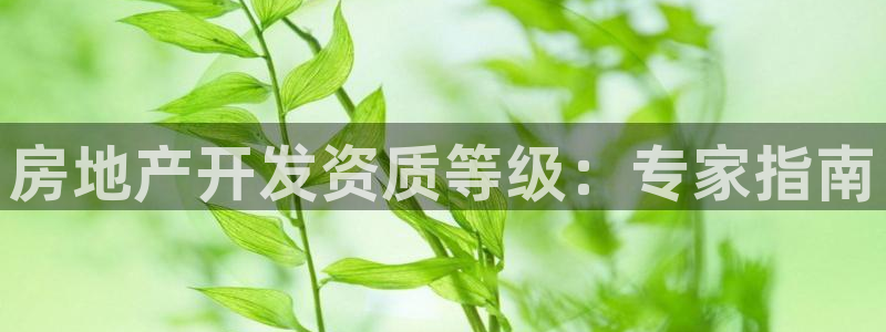 万向娱乐官网下载