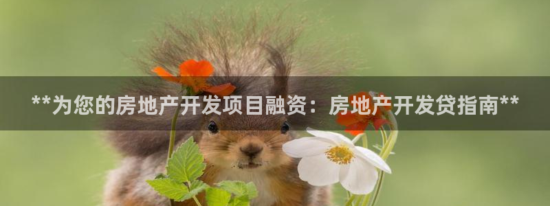 万向娱乐招商
