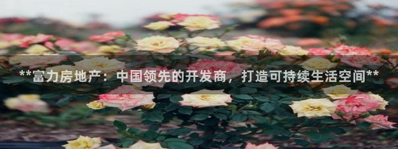 万向娱乐的联系方式
