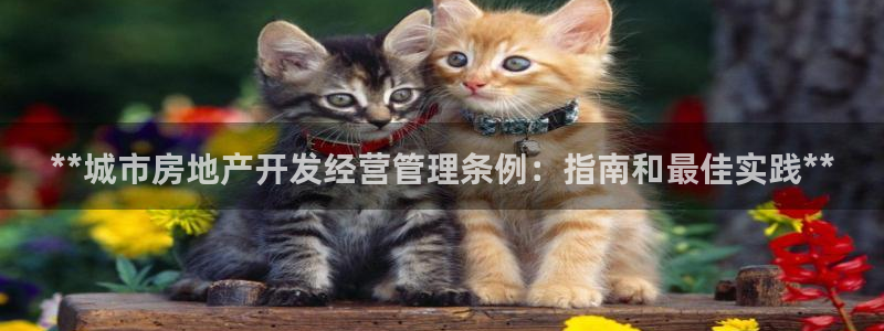 万向娱乐app下载安装