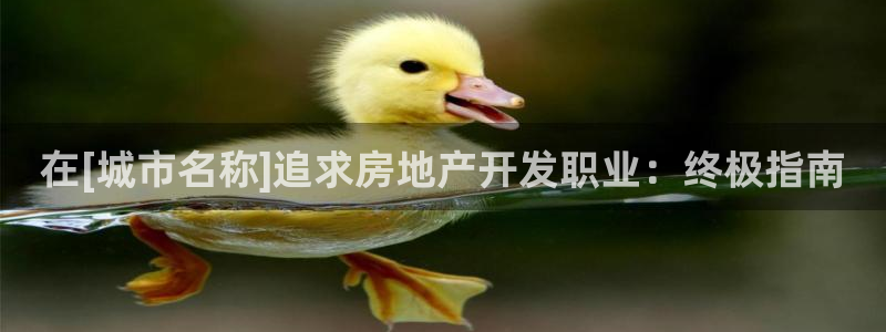 万向娱乐公司官网电话