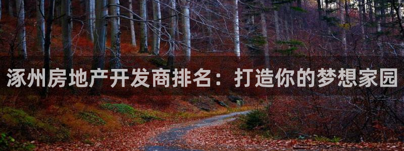 万向娱乐平台代理多少钱一个