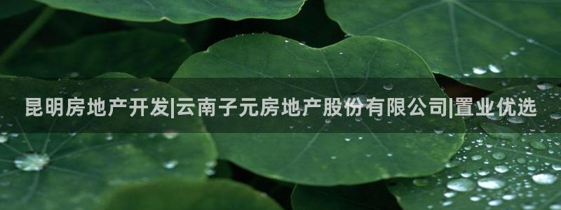 万向娱乐平台代理怎么做的