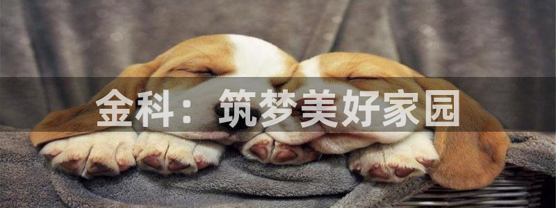 万向娱乐首页