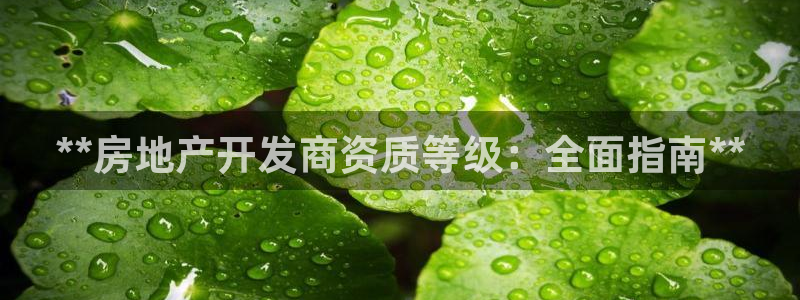 万向娱乐登陆