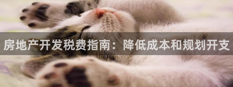 万向娱乐平台代理怎么样啊