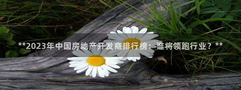 万向娱乐平台代理怎么样啊