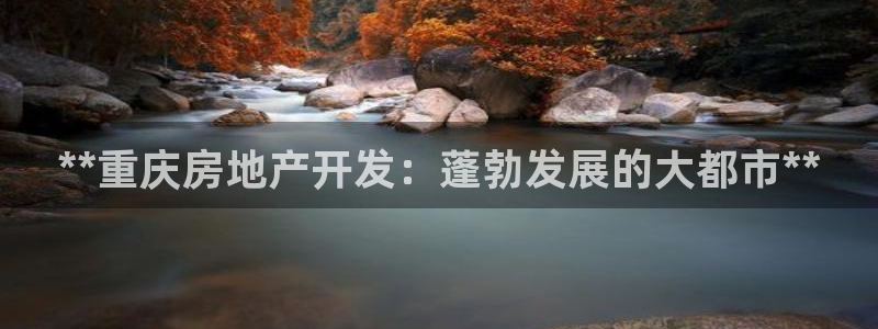 万向娱乐技术