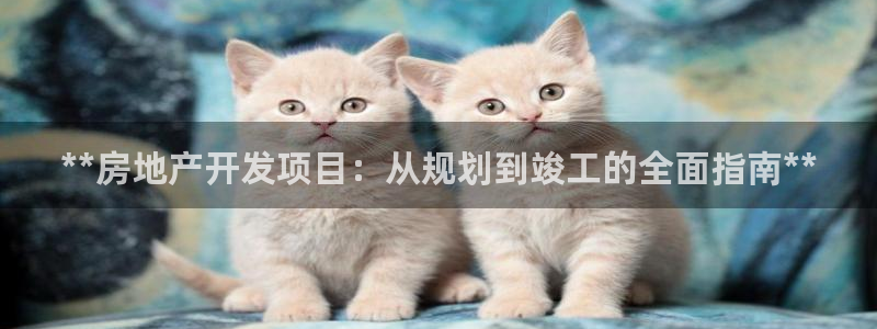 万向娱乐平台代理怎么样啊