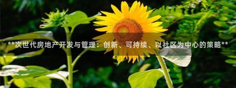 万向娱乐平台代理怎么样赚钱