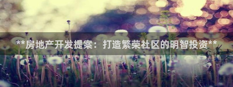万向娱乐挂机