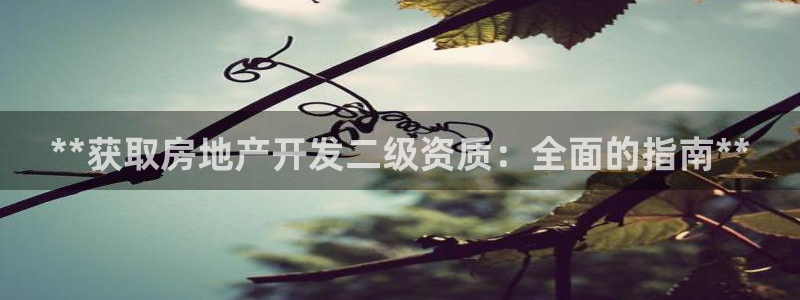 万向娱乐平台代理怎么做的