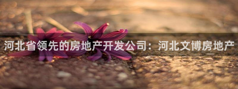 万向娱乐代理好看视频是真的吗