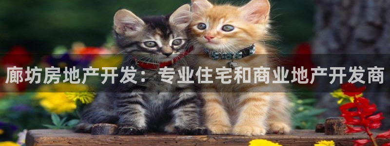 万向娱乐登陆官网下载
