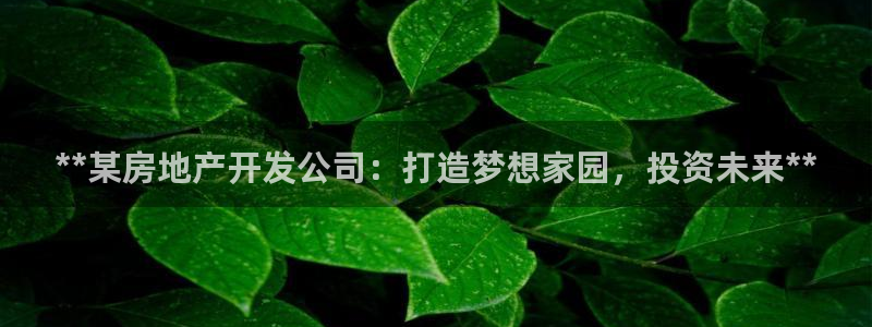 万向娱乐平台代理怎么样可靠吗