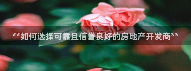 万向娱乐平台代理怎么做赚钱