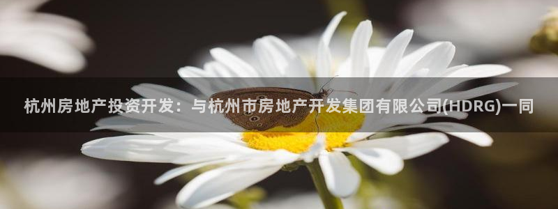 万向娱乐下载