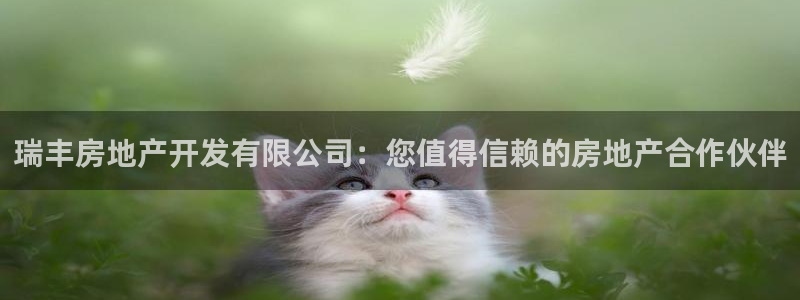 万向娱乐平台代理怎么做的