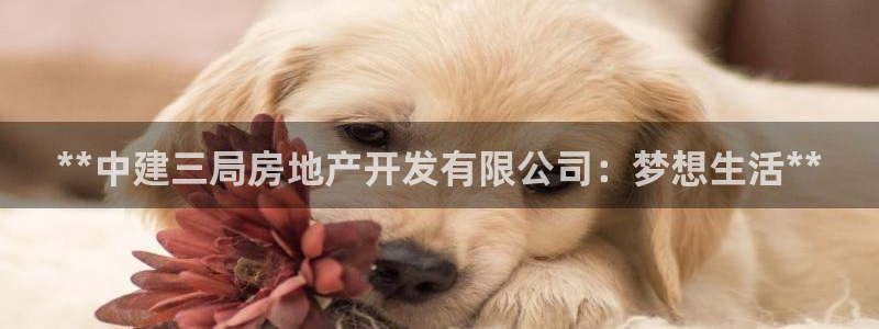 万向娱乐app下载苹果版