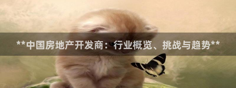 万向娱乐是哪个旗下