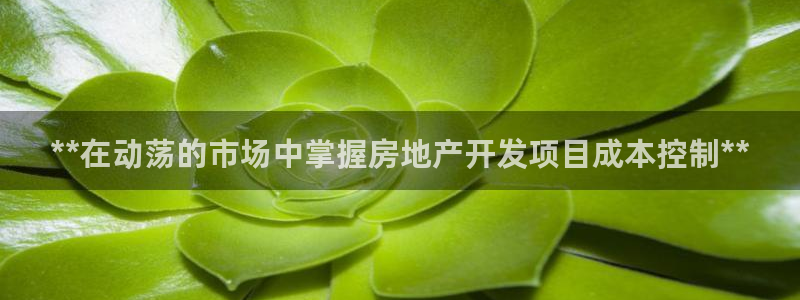 万向娱乐官网