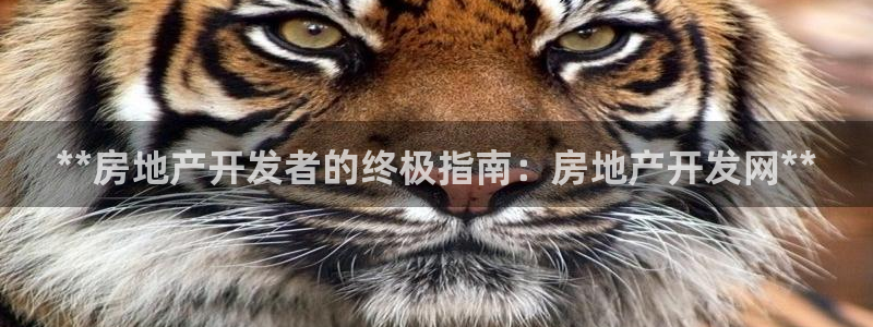 万向娱乐的494o3 主管