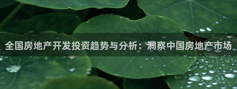万向娱乐技术