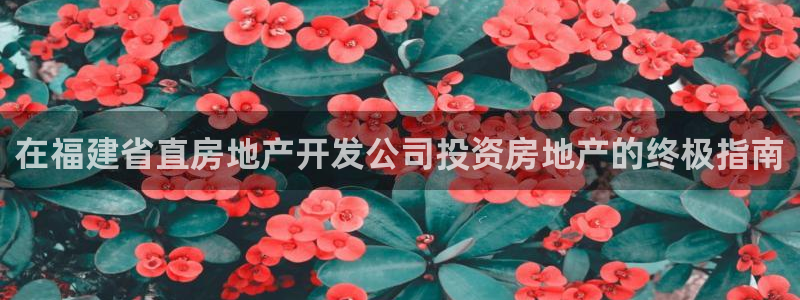 万向娱乐的联系方式是什么
