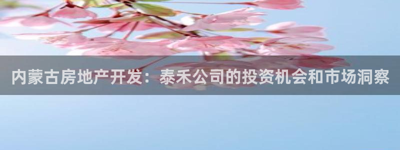 万象游戏代理