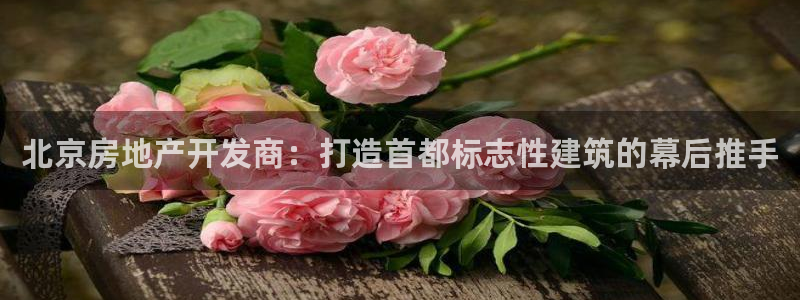 万向娱乐登陆官网