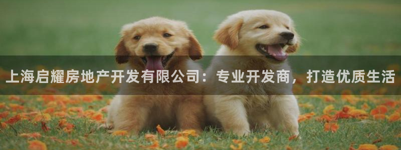 万向娱乐平台代理怎么做赚钱