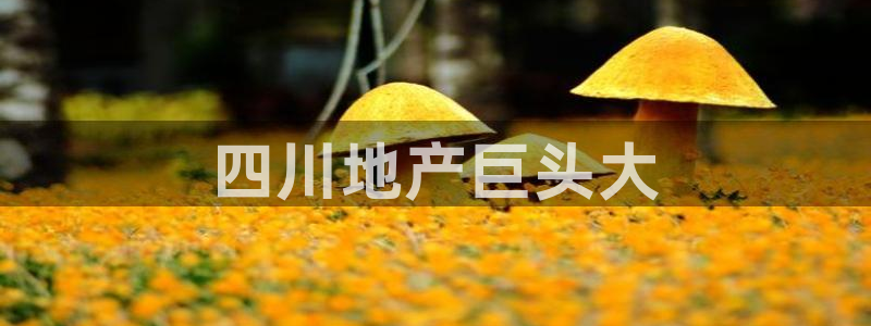 万向娱乐官网首页
