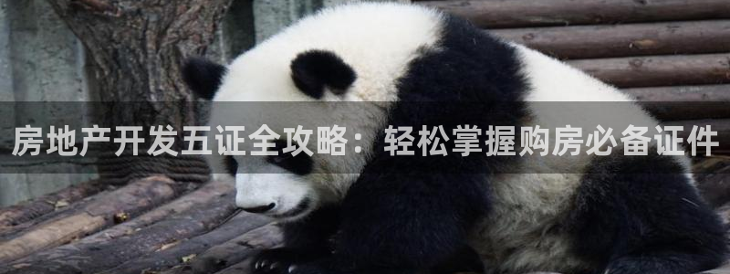 万向娱乐官网
