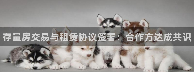 万向娱乐灯333OO