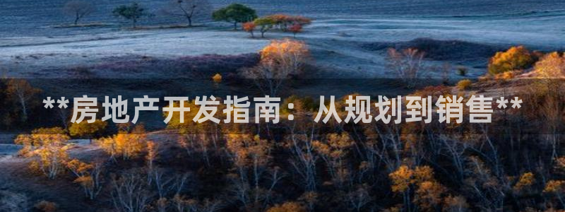 万向娱乐老板