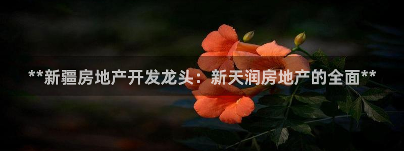 万向娱乐平台代理怎么做赚钱