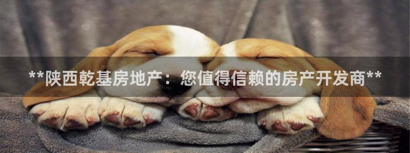 万向娱乐app下载安装