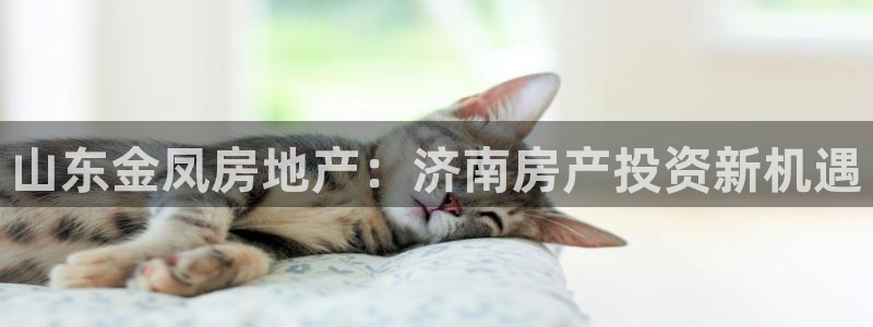 万向娱乐的联系方式