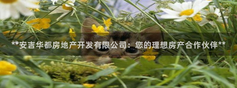 万向娱乐平台下载安装