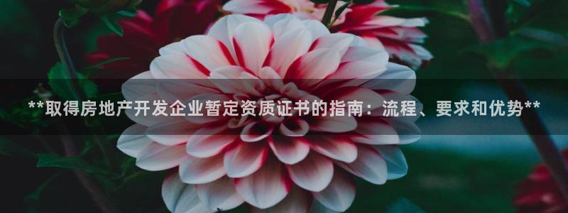 万向娱乐技术