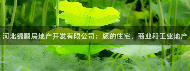 万向娱乐平台代理多少钱