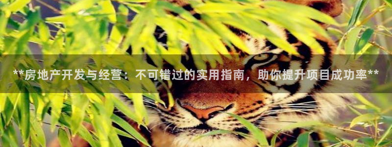 万向娱乐的联系方式是什么