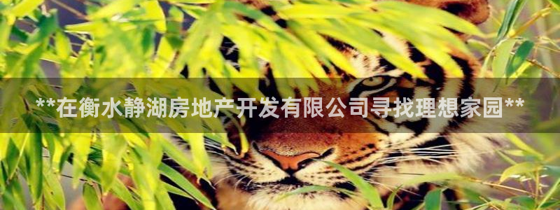 万象游戏代理