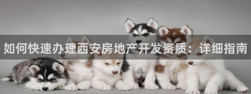 万向娱乐公司官网首页