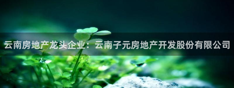 万向娱乐平台代理怎么样赚钱