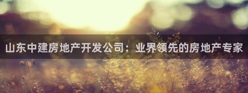 万向娱乐登陆官网