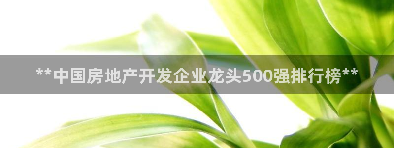 万向娱乐平台下载安装手机版