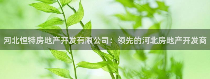 万向娱乐app下载安装